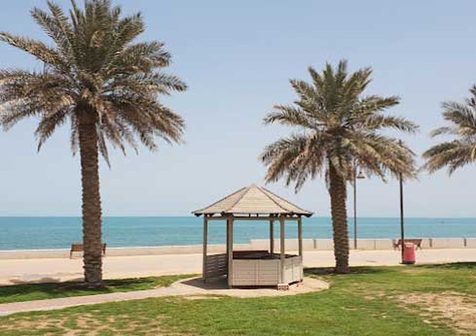 Palm trees and a small pavilion beside the sea